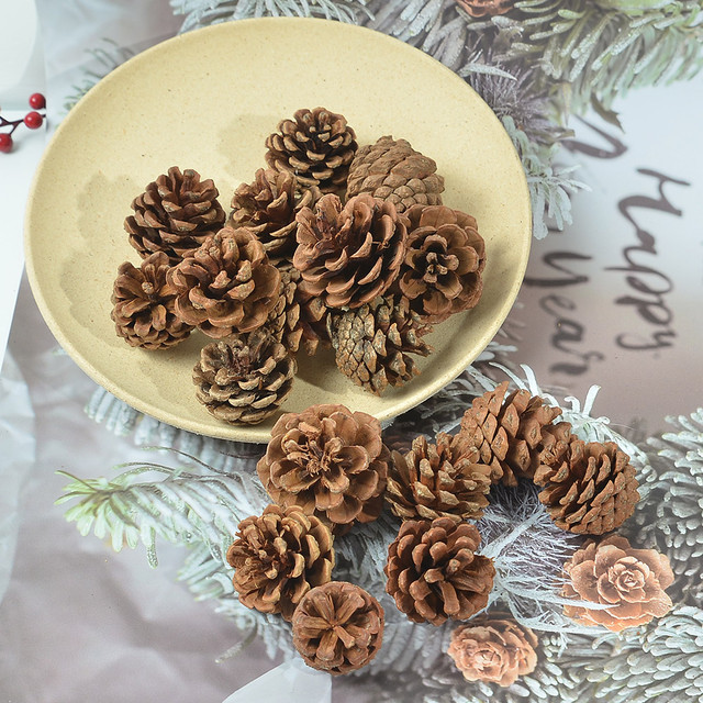10Pcs PineCones Natural Pine Cones for Wedding Christmas Tree Wreath DIY  Scrapbooking Decor Fall Thanksgiving Xmas Ornament - AliExpress